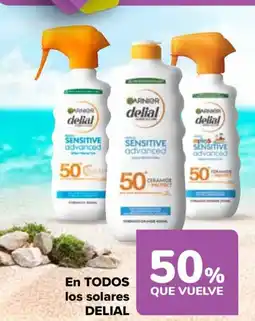 Carrefour DELIAL En todos los solares oferta
