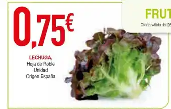 Masymas Lechuga oferta