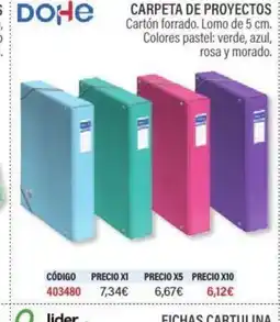 Carlin DOHE Carpeta de proyectos oferta