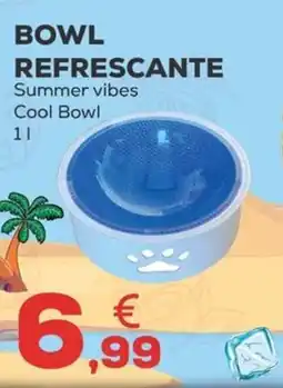 Kiwoko Bowl refrescante oferta