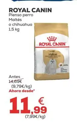 Kiwoko ROYAL CANIN Pienso perro Maltés o chihuahua oferta