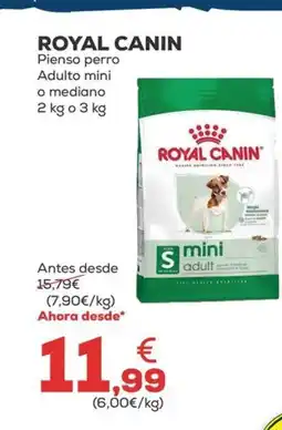 Kiwoko ROYAL CANIN Pienco perro Adulto mini o mediano oferta