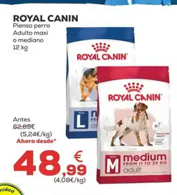 Kiwoko ROYAL CANIN Pienso perro Adulto maxi oferta