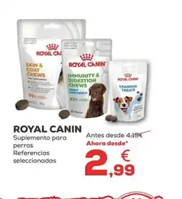 Kiwoko ROYAL CANIN Suplemento para perros oferta