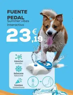 Kiwoko Fuente pedal summer vibes interactivo oferta