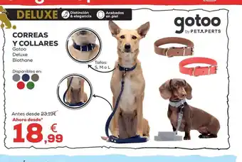 Kiwoko Correas y collares oferta