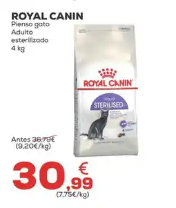 Kiwoko ROYAL CANIN Pienso gato Adulto oferta
