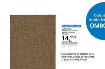 IKEA Lyndersholm - alfombra para interior y exterior, marron 80x150 cm oferta