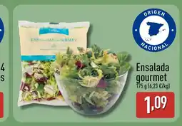 ALDI Ensalada gourmet oferta