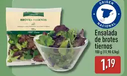 ALDI Ensalada de brotes tiernos oferta