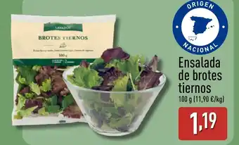 ALDI Ensalada de brotes tiernos oferta