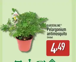 ALDI GARDENLINE Pelargonium antimosquito oferta