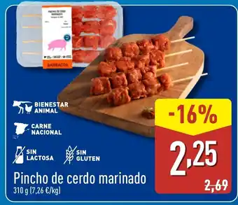 ALDI Pincho de cerdo marinado oferta
