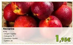 Hiper Usera Nectarina oferta