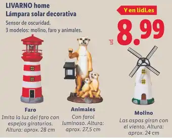 Lidl LIVARNO HOME Lámpara solar decorativa oferta