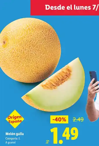 Lidl Melón galia oferta