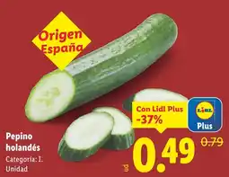 Lidl Pepino holandés oferta