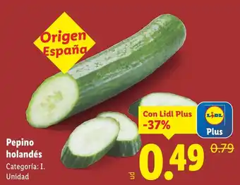 Lidl Pepino holandés oferta