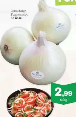 Sorli Ceba dolca fuencampo de xile oferta