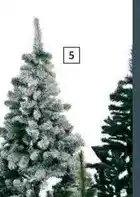 Unide Market Orlando - tomate frito oferta