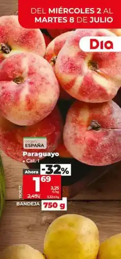 Dia Paraguayo oferta