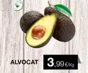 Plusfresc Alvocat oferta