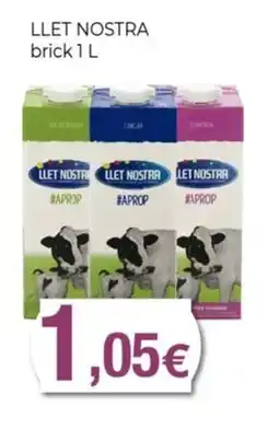 Keisy LLET NOSTRA brick oferta