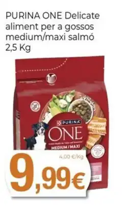 Keisy PURINA ONE Delicate aliment per a gossos medium/maxi salmó oferta