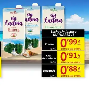 SPAR MANJARES Leche sin lactosa oferta