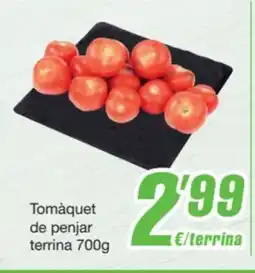 SPAR Fragadis Tomàquet de penjar terrina oferta