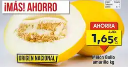 FROIZ Origen - melon amarillo oferta