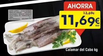 FROIZ Calamar del cabo oferta