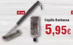 FROIZ Cepillo barbacoa oferta