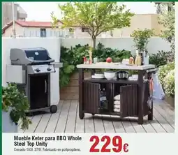 FROIZ Keter - mueble keter para bbq whole steel top unity oferta
