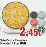 FROIZ Plato postre porcelana colourfull 19 cm h&h oferta