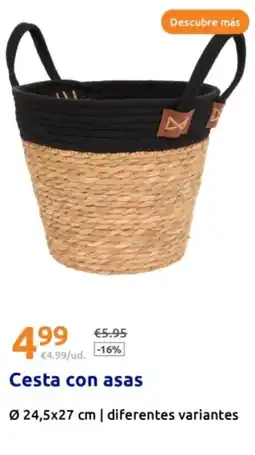 Action Cesta con asas 024,5x27 cm oferta