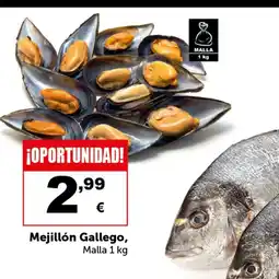 Masymas Mejillón Gallego oferta
