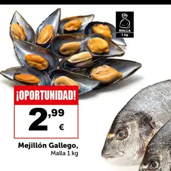 Masymas Mejillón Gallego oferta