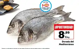 Masymas Dorada del Mediterráneo oferta