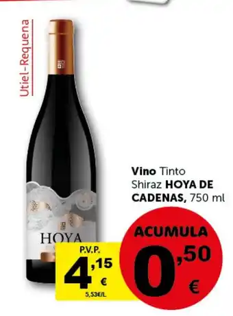Masymas HOYA DE CADENAS Shiraz oferta