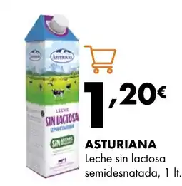 Supermercados Lupa ASTURIANA Leche sin lactosa semidesnatada oferta