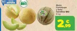 Carrefour Melón Cantaloupe y Galia oferta