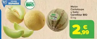 Carrefour Melón Cantaloupe y Galia oferta