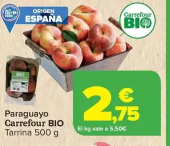 Carrefour Paraguayo oferta