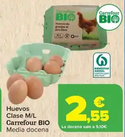Carrefour CARREFOUR BIO Huevos Clase oferta
