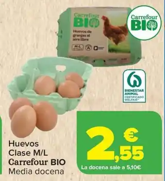 Carrefour CARREFOUR BIO Huevos Clase oferta