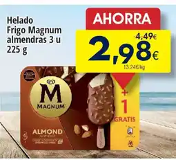 FROIZ MAGNUM Helado Frigo oferta