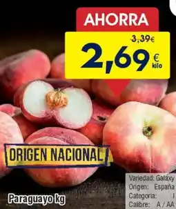FROIZ Paraguayo oferta