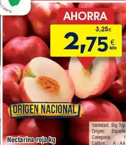 FROIZ Nectarina roja oferta