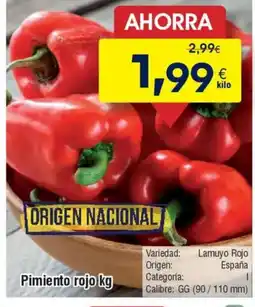 FROIZ Pimiento rojo oferta